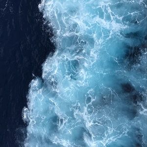 Meet your Posher, Tori